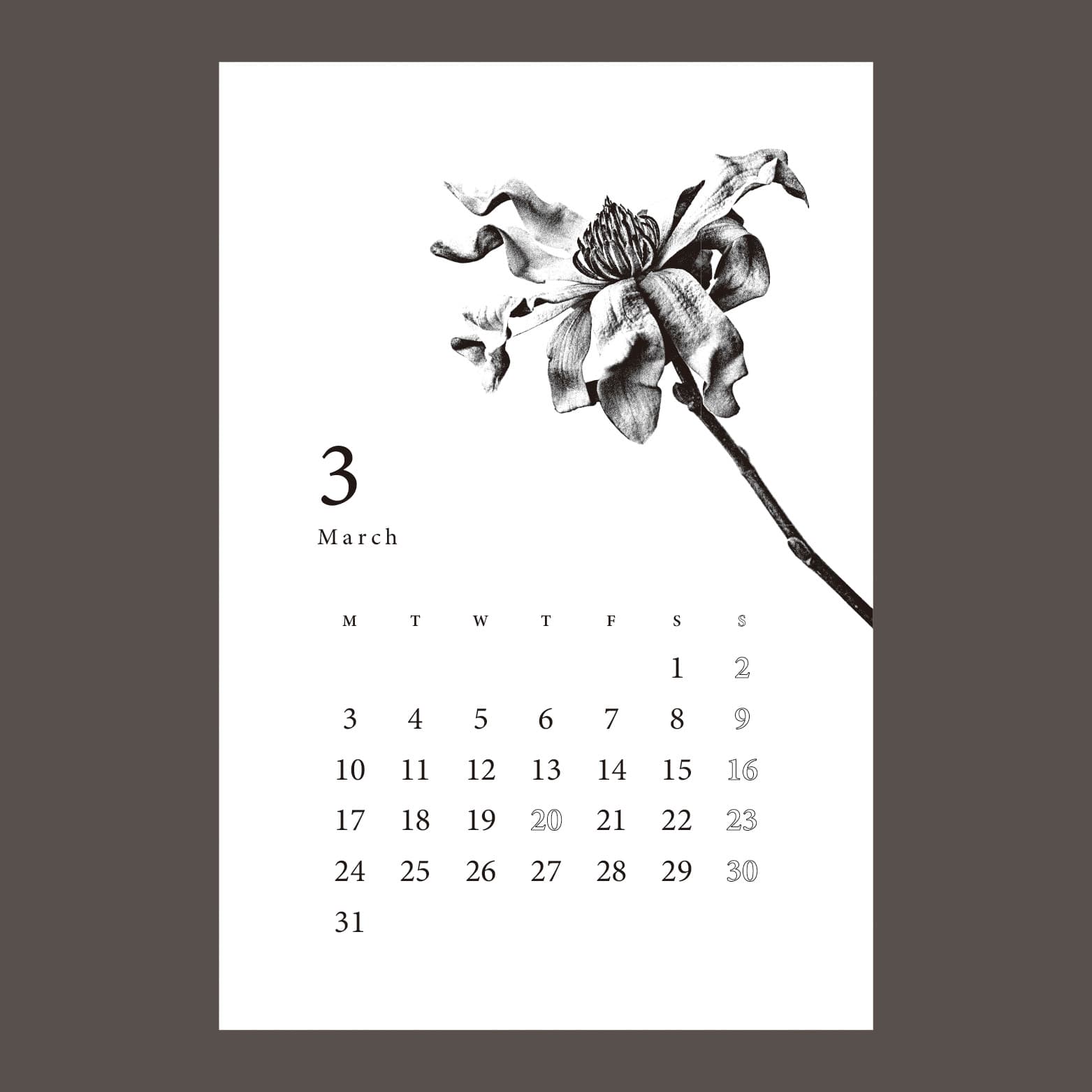 Botanical Calendar 4
