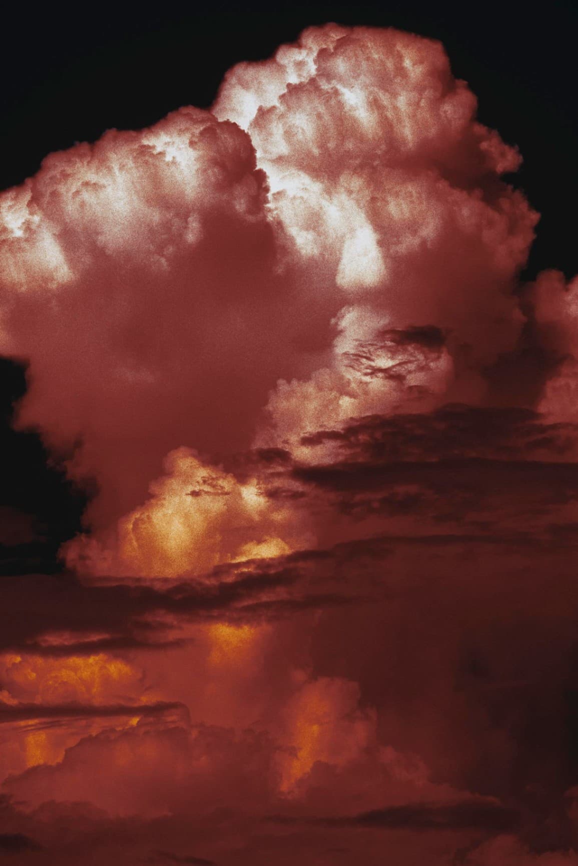 Kinoko no Kumo - 1 
